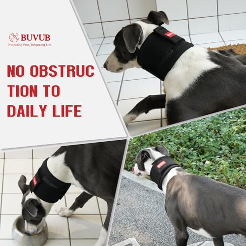 Image of Adjustable Dog Neck Brace for Neck Pain & Injury Relief - Soft & Comfortable Support Collar for Dogs for Recovery After Surgery or Injury(Small)