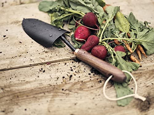 Barebones Spade Hand Trowel - Gardening Hand Tools - Stainless Steel Spade Shovel - Premium Quality Garden Spade - Japanese Garden Tool - Multipurpose Tool (Black/Walnut) - Thumbnail 5