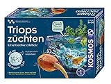 Mit dem KOSMOS Einsteiger-Set die ersten Triopse selbst züchten und hautnah dabei sein, wenn sie schlüpfen, ihren Panzer wechseln, im Sand wühlen und Eier legen