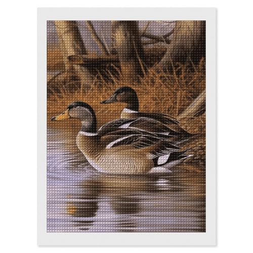 Peinture diamant 5D canards colverts maccbn broderie carrée complète 30x40 cm pour adulte