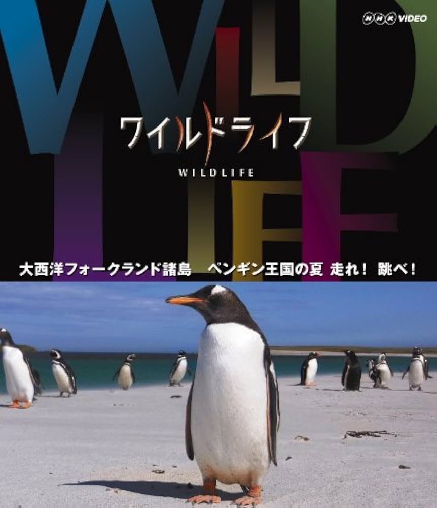 ワイルドライフ 大西洋 フォークランド諸島 ペンギン王国の夏 走れ! 跳べ! Amazon.co.jp: ワイルドライフ 大西洋 フォークランド諸島