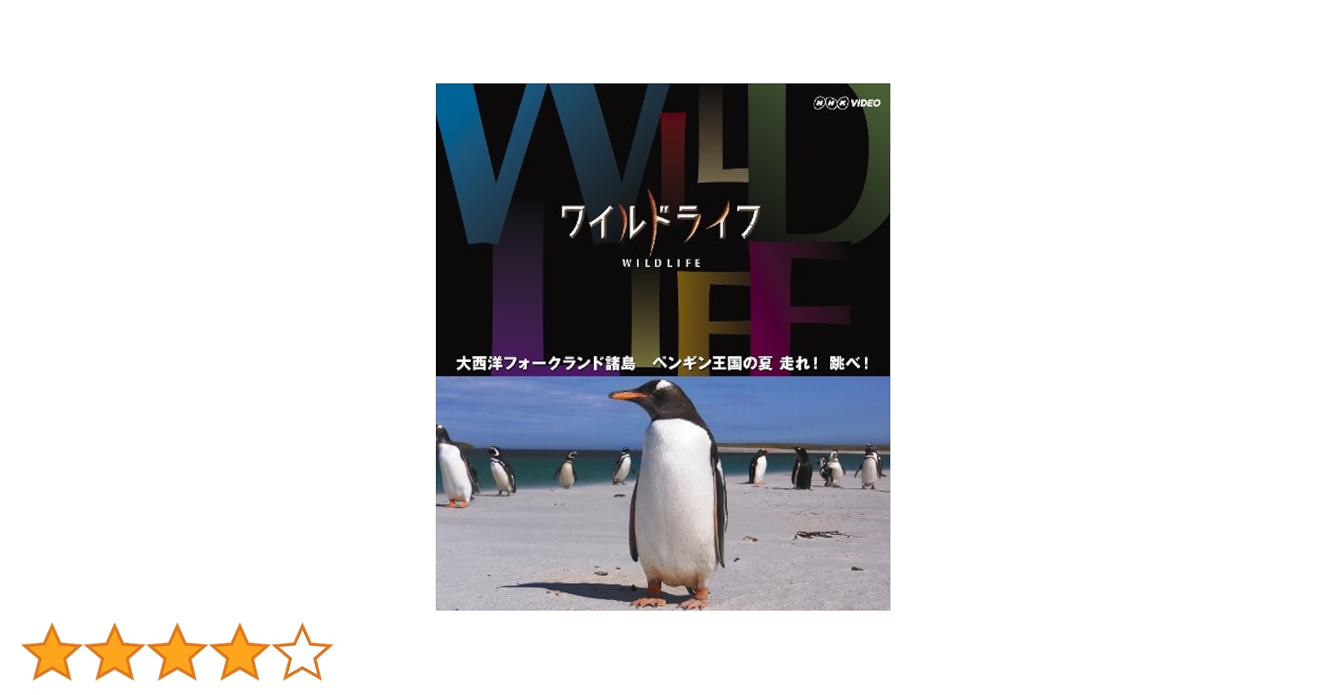 ワイルドライフ 大西洋 フォークランド諸島 ペンギン王国の夏 走れ! 跳べ! Amazon.co.jp: ワイルドライフ 大西洋 フォークランド諸島