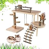 VolksRose Wooden Hamster Playground Platform, Hamster Climbing Toy, Natural Living Climb System, Small Animals Activity Set with Ladder Food Bowl Ramp Bridge for Mouse Gerbil Rat Chinchilla