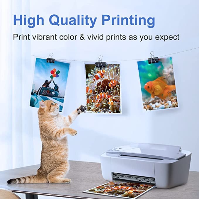 https://m.media-amazon.com/images/I/51YXHHk66JL.jpg