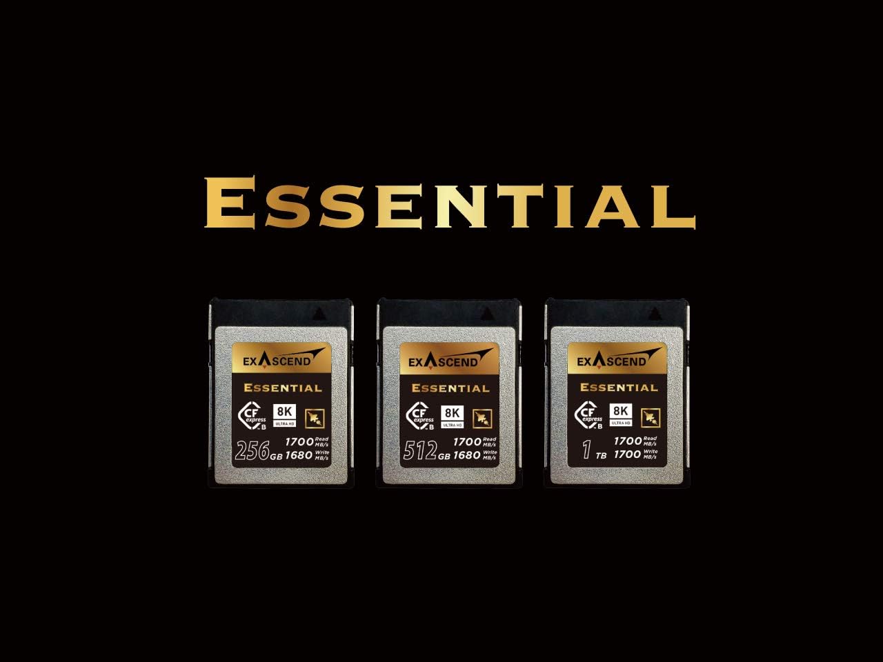 Exascend Scheda CFexpress Essential 256G tipo B, lettura fino a 1.800 MB/s, compatibile con Canon, Nikon, Panasonic e altre fotocamere.
