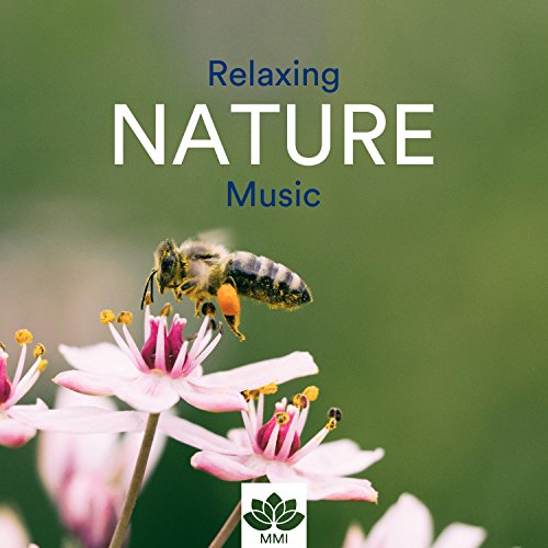 Relaxing Nature Music Qi Gong, Yoga, Tai Chi, Reiki, Mindfulness