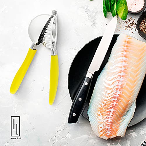 House Lab 2-In-1 Kitchen Lemon Juicer & Zester - Yellow - Manual Citrus Squeezer & Grater - Heavy-Duty Metal W/ Soft Touch Grip - Compact For Easy Storage - Seed & Pip Catcher To Avoid Mess - Bar Tool #TOP5