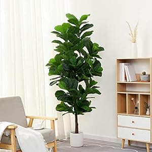 Fiddle Leaf Fig Tree 6ft Tall Artificial Tree in Plastic Pot Fake Ficus Lyrata Plants with 184 Decorative Fiddle Leaves Faux Fig Trees for Home Office Living Room Decor Indoor Outdoor Fiddle Leaf Fig Tree 6ft Tall Artificial Tree in Plastic Pot Fake Ficus Lyrata Plants with 184 Decorative Fiddle Leaves Faux Fig Trees for Home Office Living Room Decor Indoor Outdoor