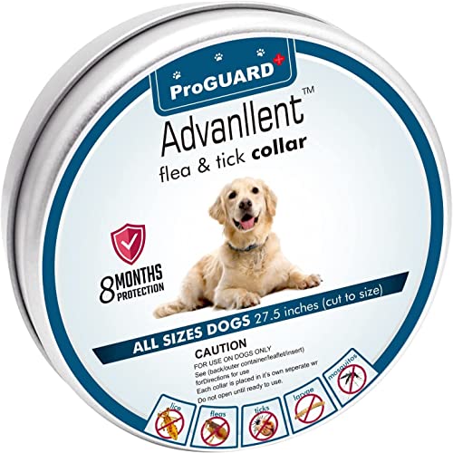 10 Best Frontline Flea Collar For Dogs June 2023