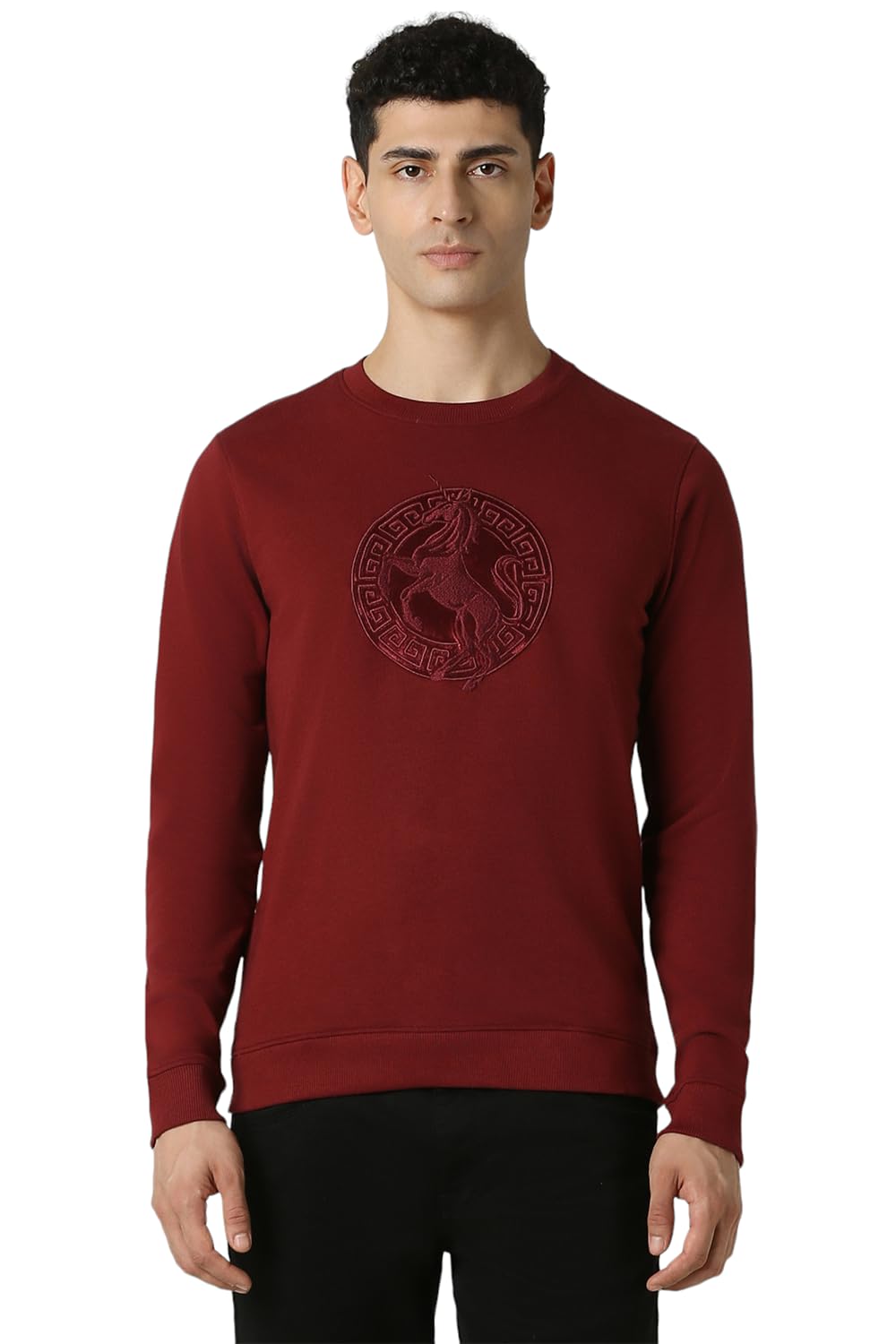 Van Heusen Men's Luxury Sports Regular Fit Full Sleeve Crew Neck Sweater | Sophisticated Flair | Super Premium Fabric-picture-30