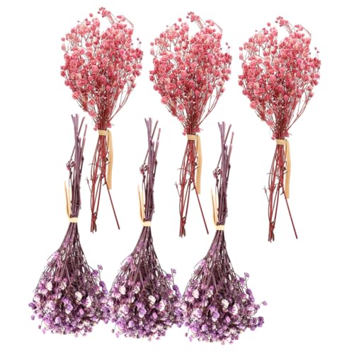 Ramo 6 flores secas naturales Mini 12 cm colores surtidos