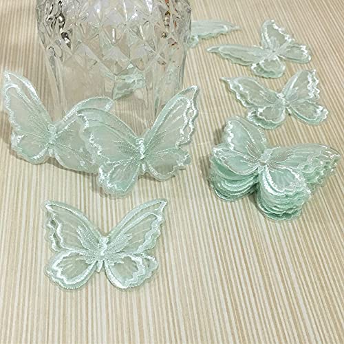 Fqtanju 15Pcs Butterfly Lace Trim thumb #3