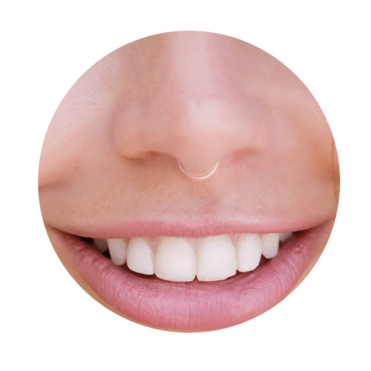 Silver Fake Septum Ring Thin Small 20 Gauge 8mm Turkey Ubuy