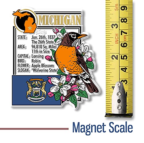 Imán Decorativo Michigan State Classic Magnets 3x3.4 pulg miniatura 5