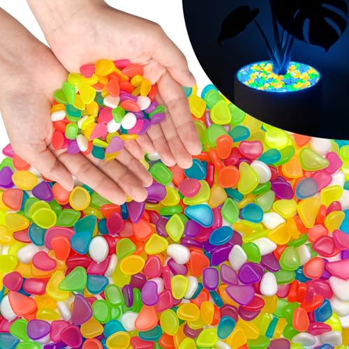 PoYang 1000pcs Glow in The Dark Rocks Outdoor Decor, Multicolor,1.2lbs/Bag