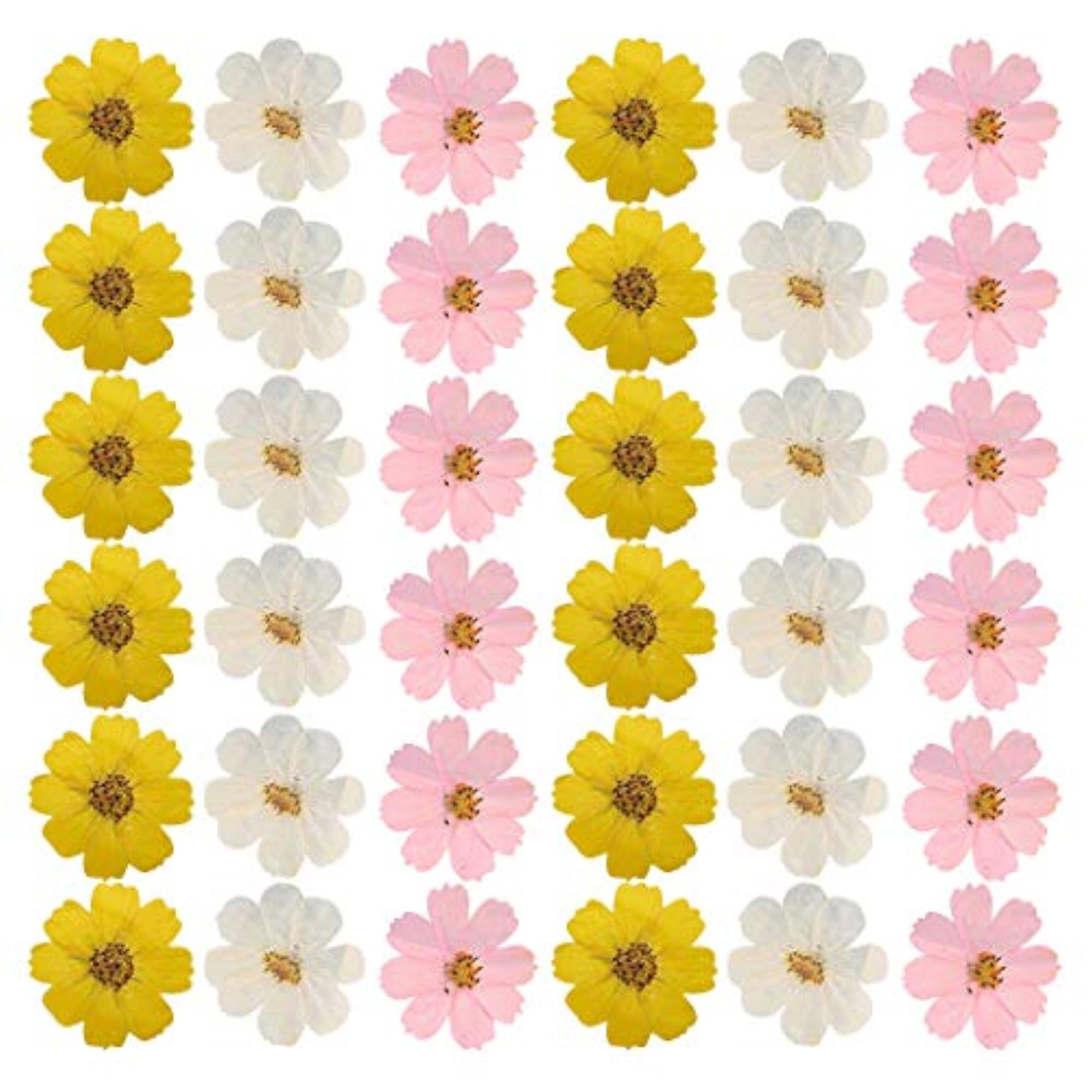 36PCS Pressed Flower Dyed DIY Scrapbooking Flower Supply Kit