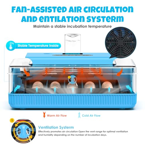 25 Egg Incubator Digital Poultry Hatcher Machine with Automatic Egg Turning, incubators for Hatching Eggs, Temperature & Humidity Control, LED Screen, General Purpose Incubator - Image 3
