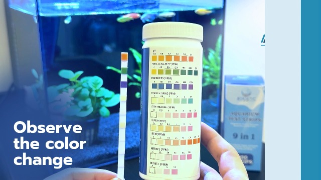 Image of 9-in-1 Aquarium Water Test Kit - 100 Freshwater & Saltwater Test Strips | Fish Tank Kit for pH, Nitrate, Nitrite, Hardness, Chlorine, Iron, Copper, Alkalinity, Carbonate | Quick & Reliable Results