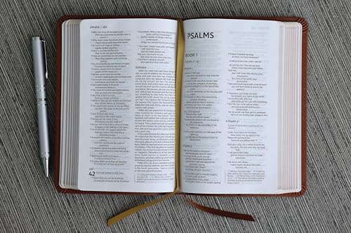 Image of Niv, Thinline Bible, Compact, Leathersoft, Brown, Red Letter, Comfort Print: New International Version, Brown, Leathersoft, Thinline, Red Letter, Comfort Print