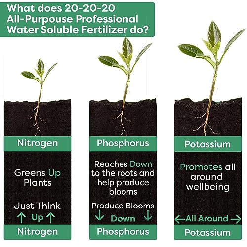 Image of Gardenwise 20-20-20 Water-Soluble Fertilizer - Powder for Liquid Plant Food for Indoor & Outdoor Plants, Orchids, Vegetables, Lawns, Flowers - 20 20 20 Fertilizer (10 QUARTS)