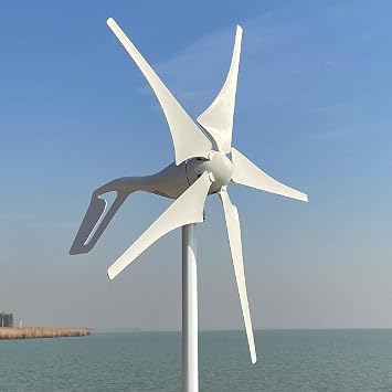 600w Horizontal Wind Turbine Generator 12v 24v 48V High Efficient for Home 5 Blades with MPPT Controller 12V with Free Controller