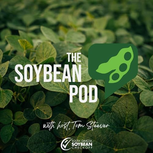 The Next Chapter: Kevin Scott Joins SD Soybean Leadership