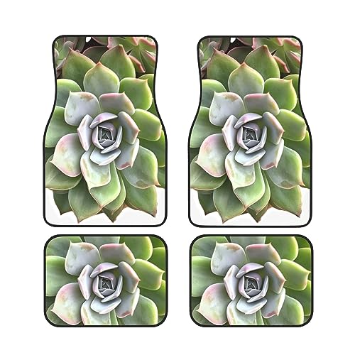 Tapis de sol antidérapants pour voiture lot de 4 avec motif botanique de protection
