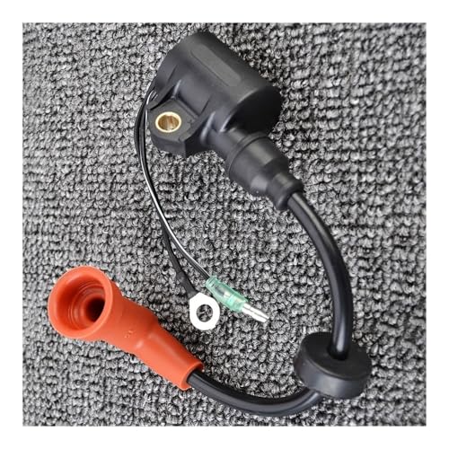 Bobine d'allumage hors-bord 25hp pour sécuriser vos sorties de pêche en bateau 2 temps