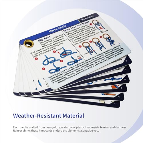 Harrison Howard Horse Knot Cards