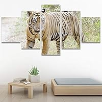 SIGNWIN 5 Panel Canvas Wall Art Modern Art Animals Dramatic Farmhouse/Country Lion Multicolor Photography Tiger for Home Decorations Ready to Hang - 60