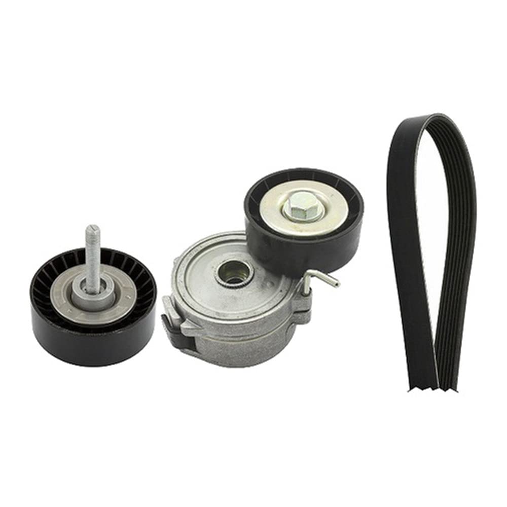 Ina 529 0395 10 poulies pour éliminer les sifflements et protéger le moteur