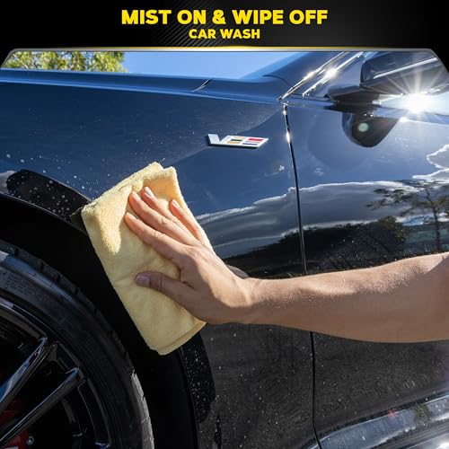 Can You Use Windex On Car Paint? (Safely) 4 51YXrzmEk9L