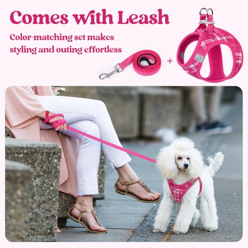Image of rabbitgoo Dog Harness Small Sized and Leash Set, Step-in Puppy Pet Vest