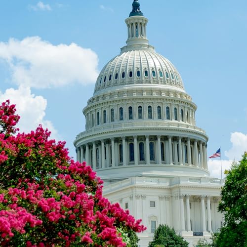 Washington DC Walking Tour Guide. Discover the History and Sights of the Capital.