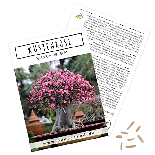 Außergewöhnliche Bonsai Samen mit hoher Keimrate - Pflanzen Samen Set für deinen eigenen Bonsai Baum (1x Wüstenrose)