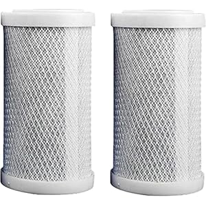 （5 Inch） 2 Pc-patronen Huishoudelijke Zuivering, Actieve Kool Filterpatroon Kokosnoot Purifier, Voor 5 Inch Omgekeerde Osmose Waterfilter