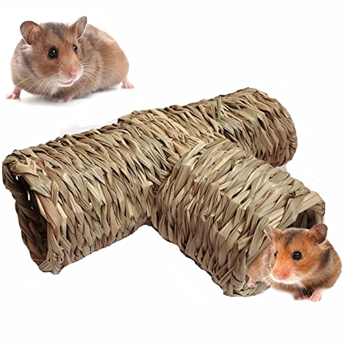 Top 10 Best Tubes For Syrian Hamsters Reviews & Buying Guide Katynel