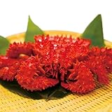 【北の海から海鮮便り】 花咲蟹 北�