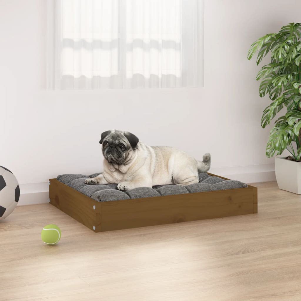 Mangloder - Cuccia per cani in legno di pino massiccio, 61,5 x 49 x 9 cm, rettangolare, per interni, esterni, viaggi e gabbia, stabile per cuccioli, marrone miele