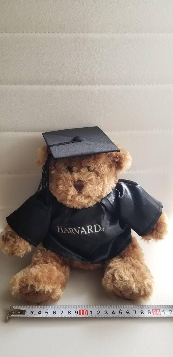ハーバード　ベアー　テディベア ハーバード大学テディーベア