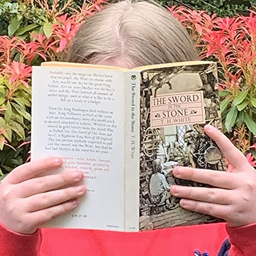 The Sword in the Stone