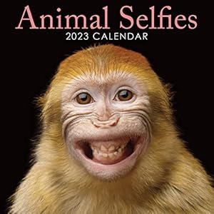 2023 Animal Selfies Square Hanging Wall Calendar – No Plastic – 12″ x 12″ Planner, Funny, Humorous, Cute, Organiser, Home, Family, Schedule, Agenda, Gift
