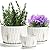 Laerjin Plant Pots with Drainage Holes and Saucers 4.17" & 5.62" & 6.88", Set of 3, Ceramic Round Modern Plant / Flower Pot with Tray For Garden, Outdoor, Small to Medium Sized