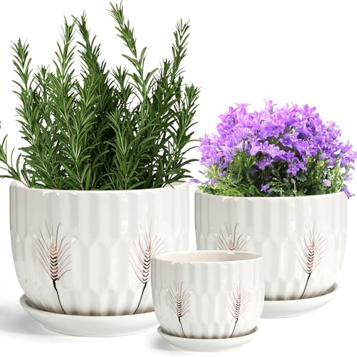 Product Image of the Laerjin Ceramic Plant Pots 4' & 5.5' & 7' Plant Pots Indoor with Drainage, Set of 3 Ceramic Pots for Plants, Outdoor Flower Pot with Drainage Holes and Saucers