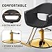OmySalon Barber Chairs for Barbershop Black & Gold Styling Chair, Salon Chair for Hair Stylist, Heavy Duty Hydraulic Pump, 360°Swivel with Footrest, Hairdressing Home Beauty Spa Equipment