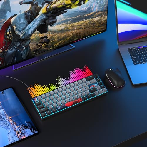 Image of 65 Percent Gaming Keyboard 68 Keys Mechanical Keyboard LED Backlit Ultra Compact Wired Key Board with Red Switch for Windows Laptop Gamer(68Dolch)