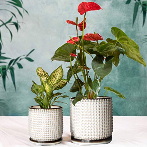 Set Of 2, 6 Inch & 4 Inch Ceramic Indoor Planter Pots With Drainage Hole And Saucer, Beaded Design Flower Pots, Smoked White, 27-H-K2-A-4 #TOP5