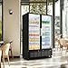 BODEGACOOLER Commercial Merchandiser Refrigerator, 36.8 Cu.Ft Upright Display Beverage Cooler, 2 Glass Door Display Refrigerator with Soft LED Light, Adjustable Shelves, 4 Strong Castors(Black)