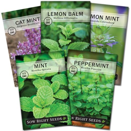 Sow Right Seeds - Mint Garden Seed Collection - Includes Common Mint, Catmint, Peppermint & More - Popular Non-GMO Heirloom Varieties for Planting Indoors or Outdoors - Herbal Teas, Drinks & Desserts