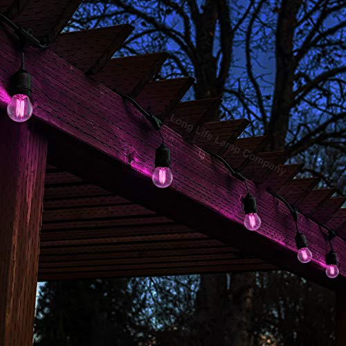 Long Life Lamp Company 2 x 4w Purple LED Golf Ball Light Bulb E14 Small Edison Screw Clear Glass G45 Filament - Image 6